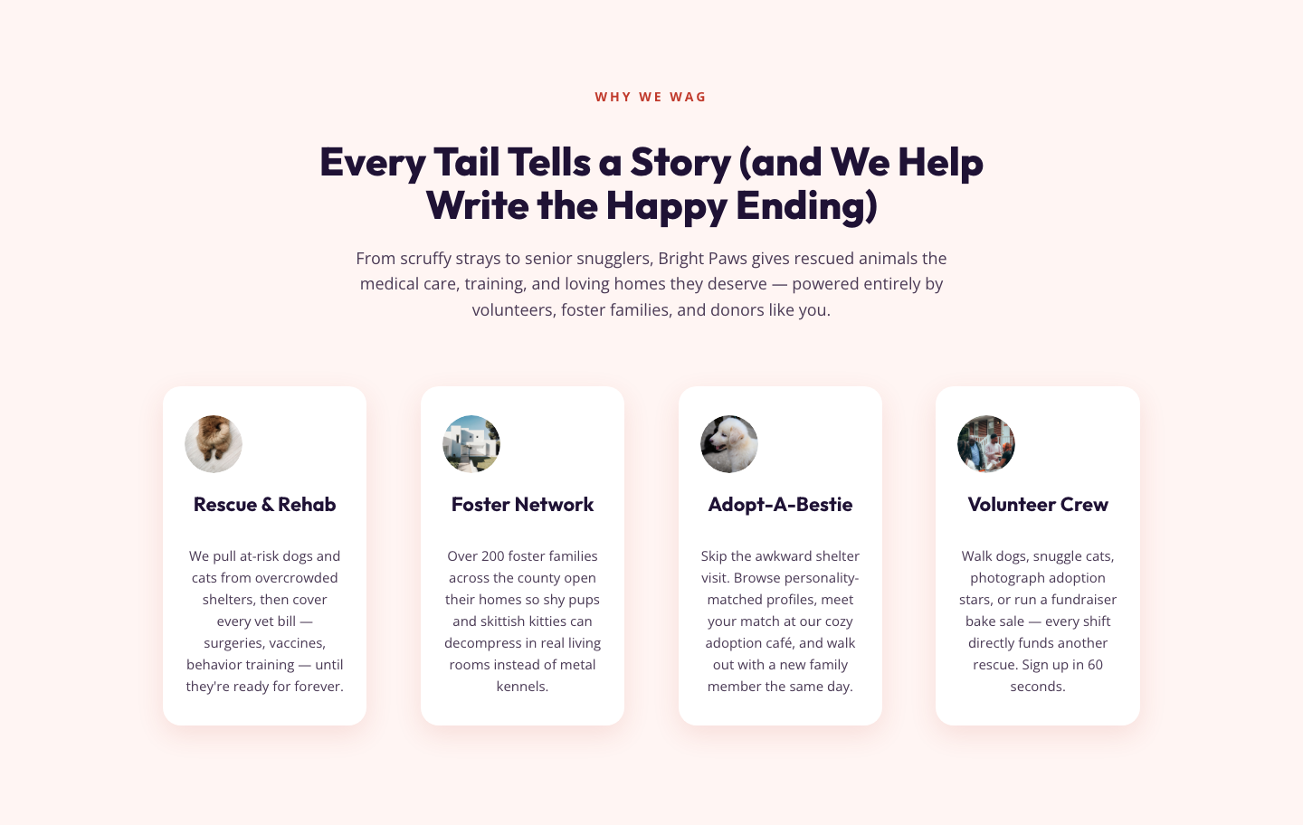 Playful Nonprofit Features Section for Divi 5 — Animal Rescue Layout — desktop preview