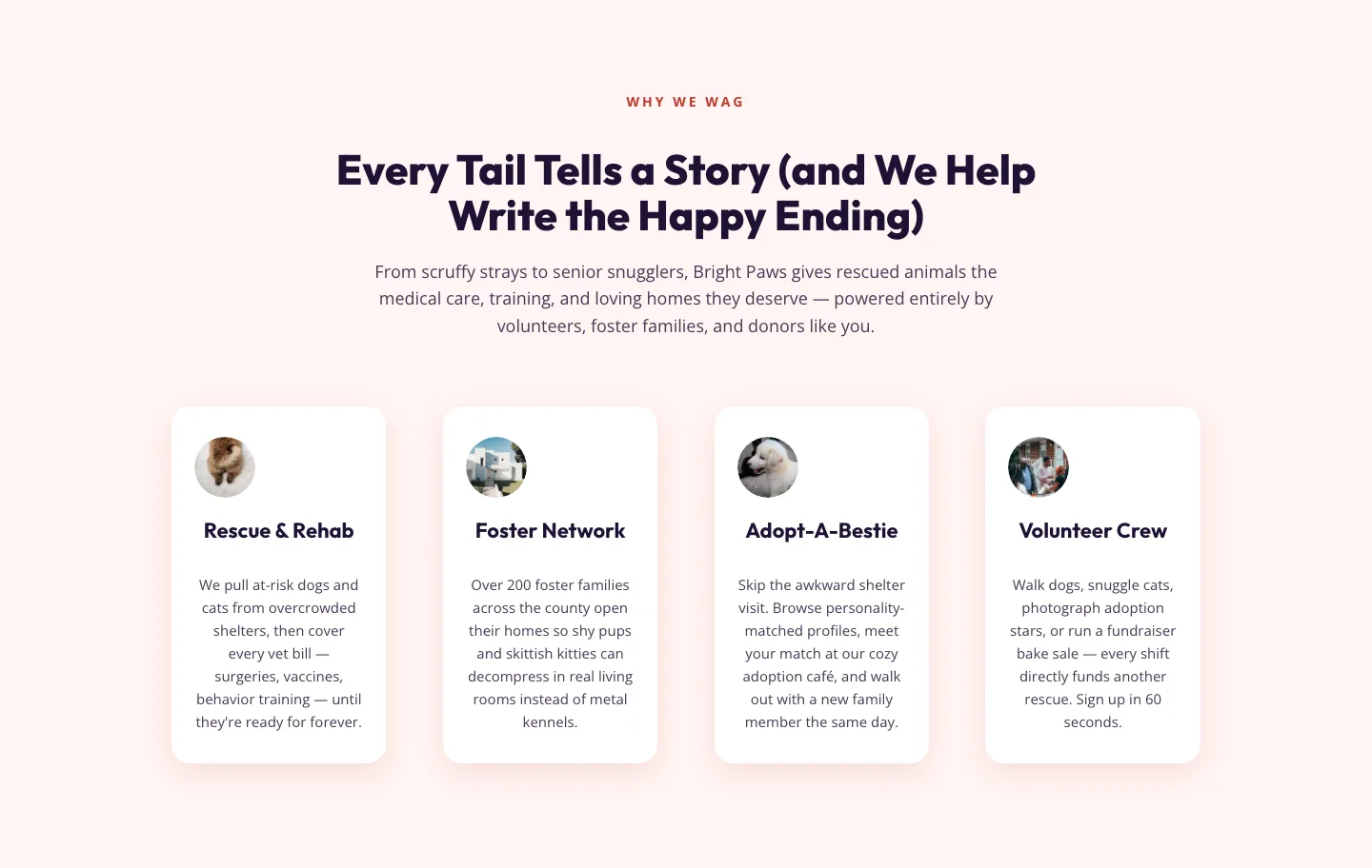 Playful Nonprofit Features Section for Divi 5 — Animal Rescue Layout — Nonprofit Features layout built with Divi 5