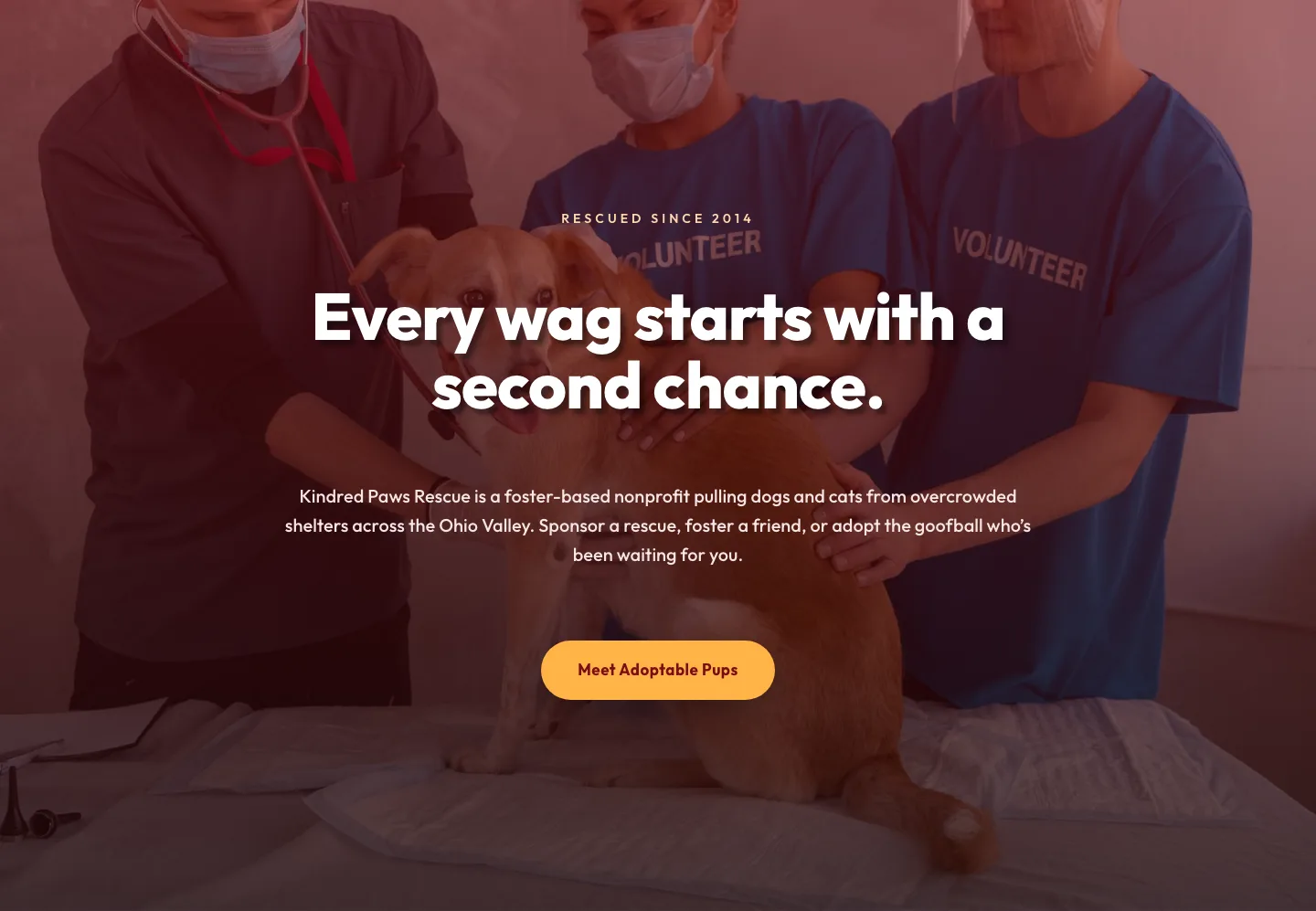 Playful Nonprofit Hero Layout — Kindred Paws Rescue | Divi 5 — Nonprofit Hero layout built with Divi 5