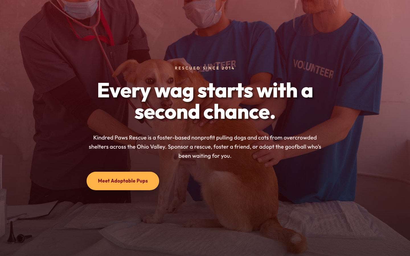 Playful Nonprofit Hero Layout — Kindred Paws Rescue | Divi 5 — desktop preview