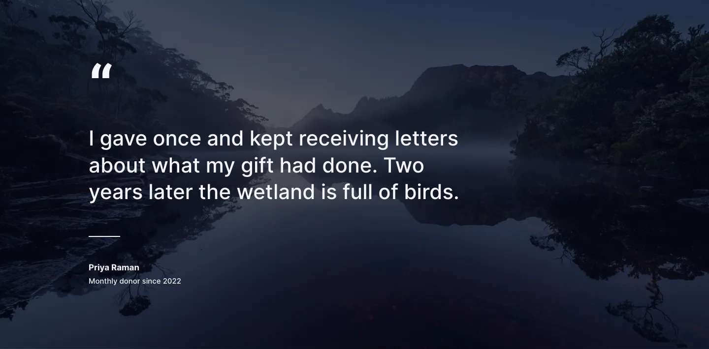 Dark Conservation Charity Testimonial Layout for Divi 5: Quote Over Photo, Nonprofit Testimonials layout built with Divi 5, desktop screenshot