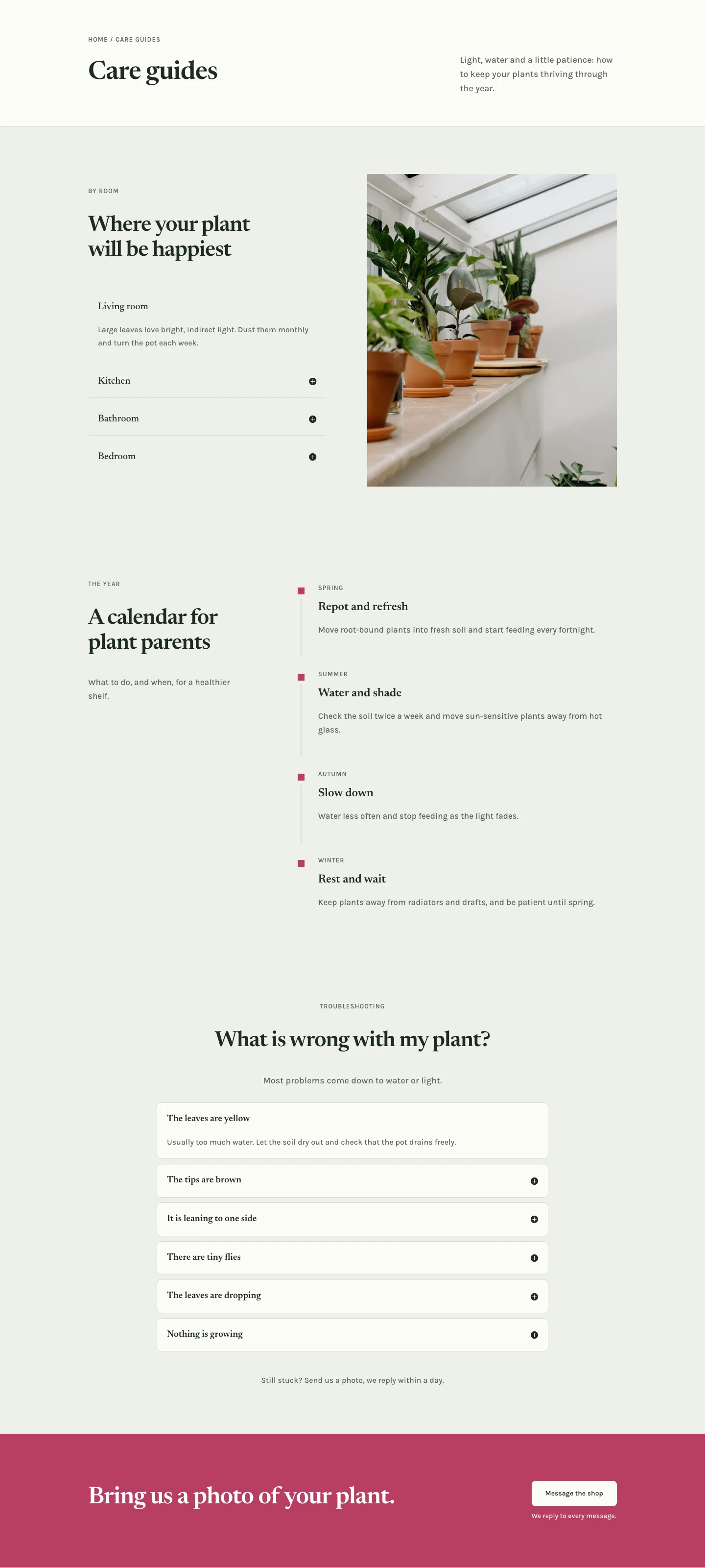 Fernhill Botanicals — Minimal Plant_shop Care Guides Page for Divi 5, Plant Shop Full Landing layout built with Divi 5, desktop screenshot
