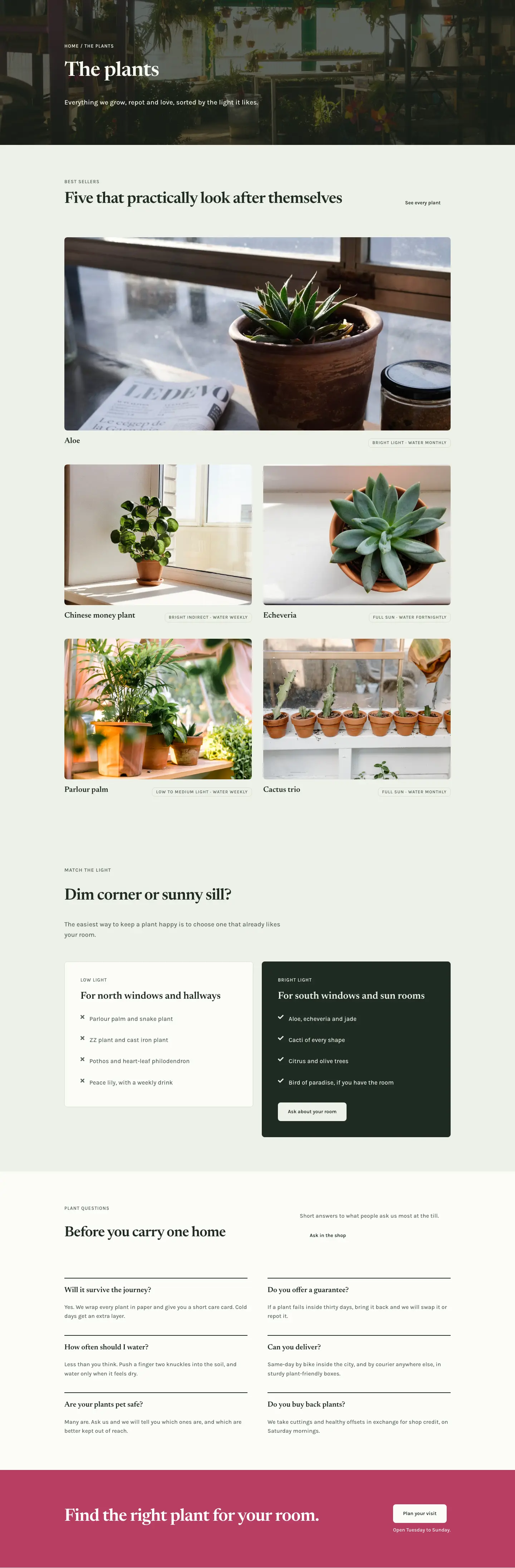 Fernhill Botanicals — Minimal Plant_shop The Plants Page for Divi 5, Plant Shop Full Landing layout built with Divi 5, desktop screenshot